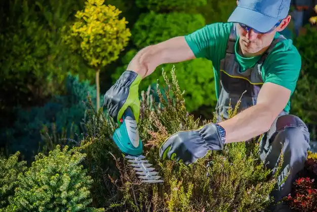 landscaping services Saco